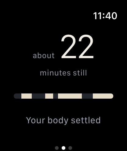 Apple Watch after a meditation: the result in short